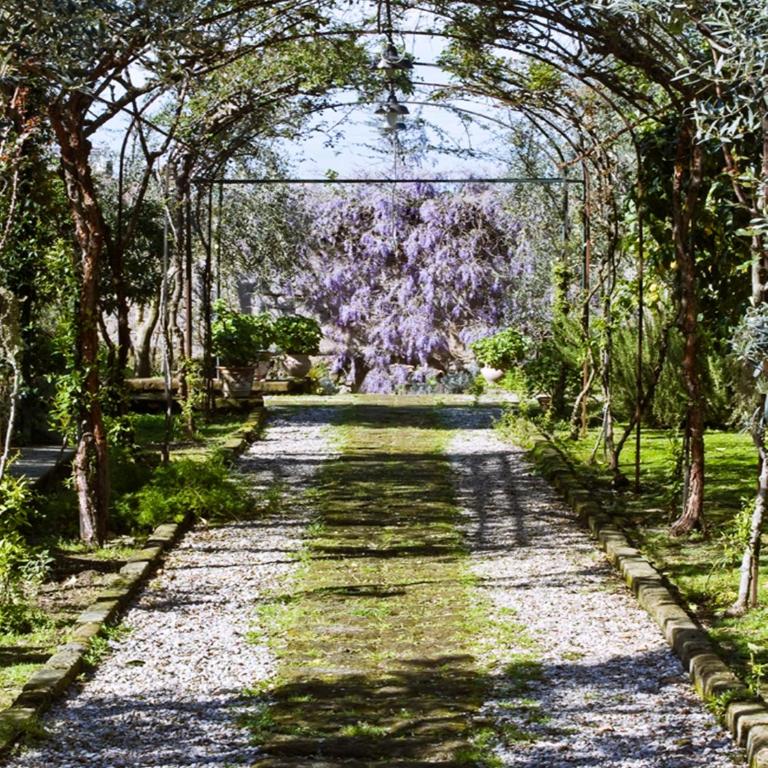 Suite Lidia B&B - Junior Suite con Vista Giardino - 33