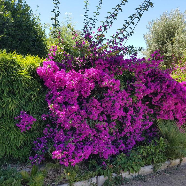 Villa Provençale â Sainte Maxime, Golf de Saint Tropez - Villa mit Meerblick - 28
