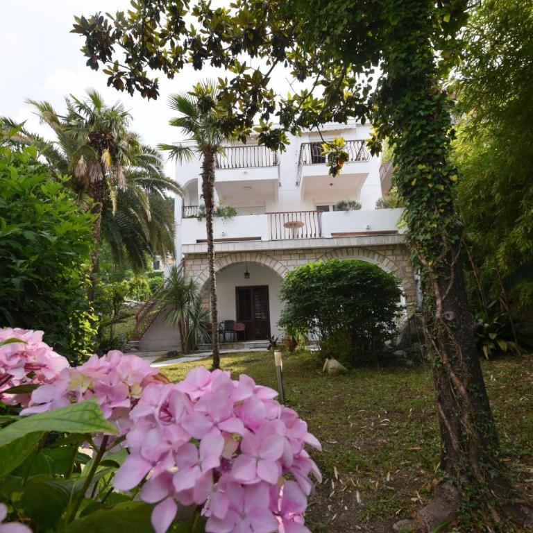 Apartman Taraca Villa Knezevic - Apartment with Garden View - 28