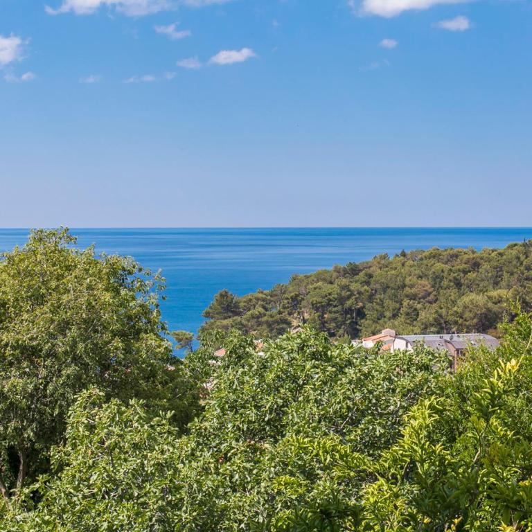 Apartments Krš Medinski - One-Bedroom Apartment with Patio and Sea View - 2