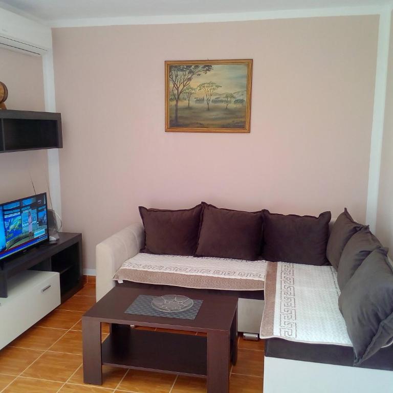 Apartmani Zecevic - Apartman sa Terasom - 1