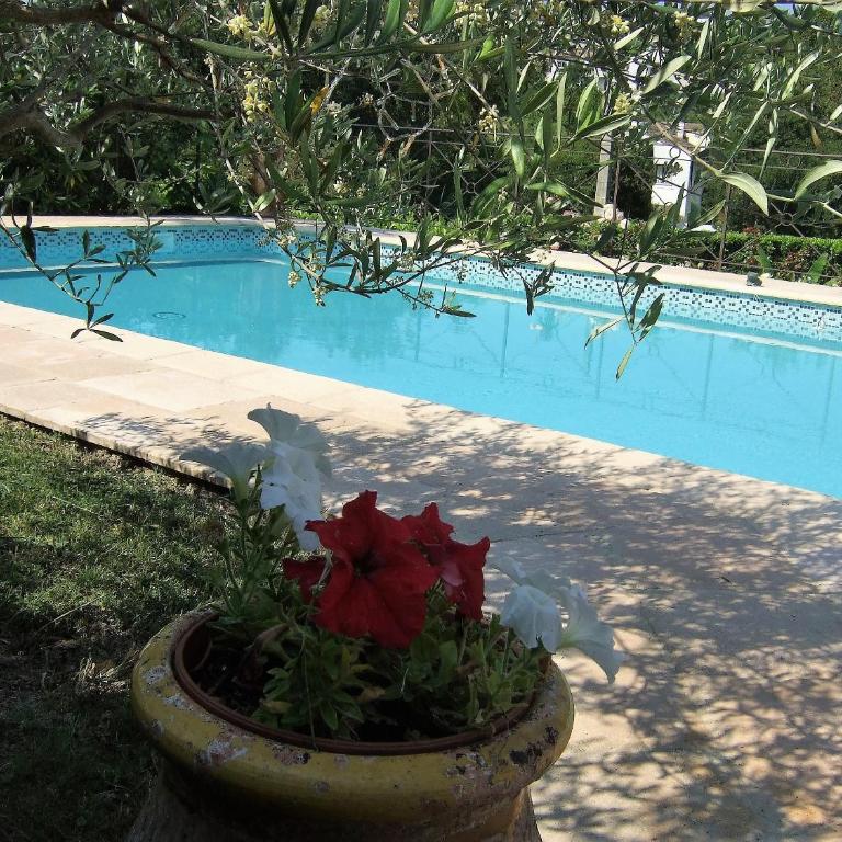 Au vallon rouge (Suite double) - Chambre Double ou Lits Jumeaux Standard - Vue sur Jardin - 5