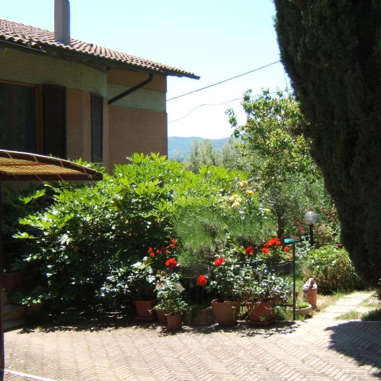 Casa Aralia con giardino - Appartamento con Vista Giardino - 13