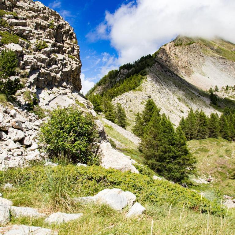 Gites L'épilobe - Appartement avec Vue sur la Montagne - 8