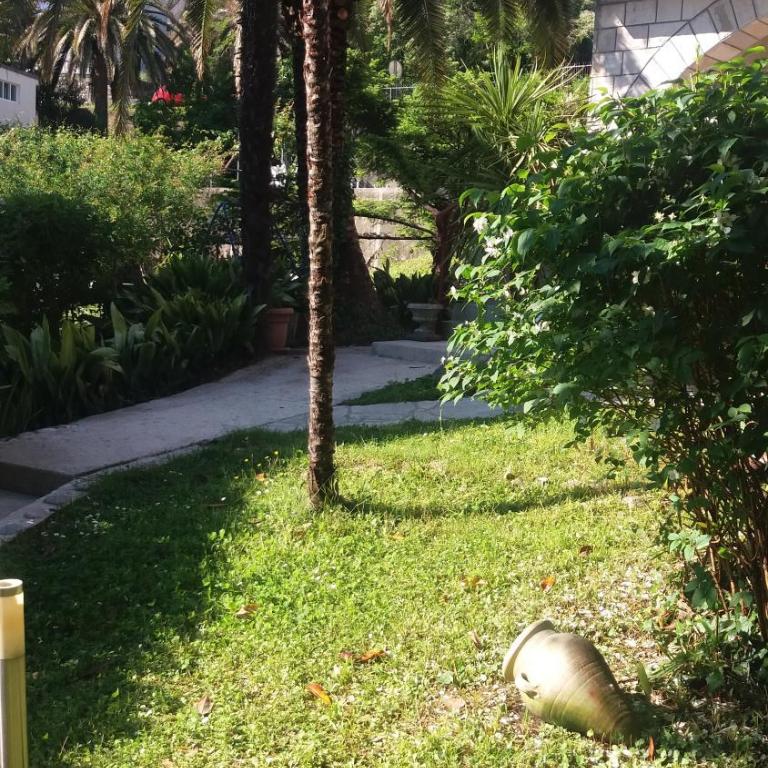 Apartman Taraca Villa Knezevic - Apartment with Garden View - 31