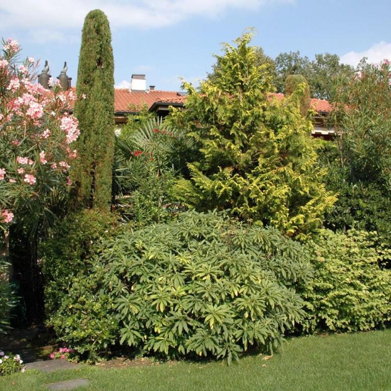 Residenza Giardino - Chez Antoinette - Appartamento con Vista Piscina - 26