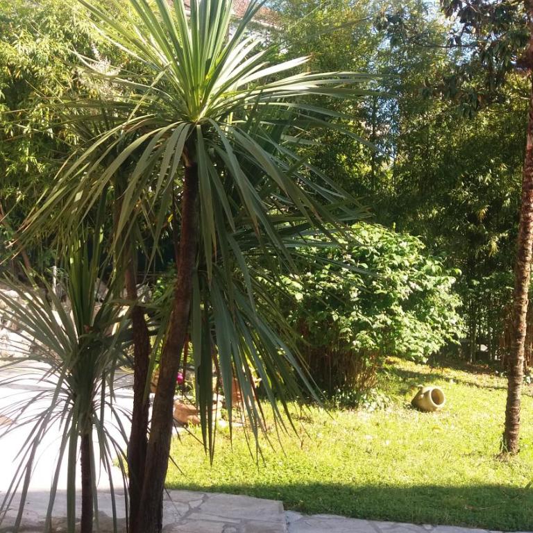 Apartman Taraca Villa Knezevic - One-Bedroom Apartment with Garden View - 24