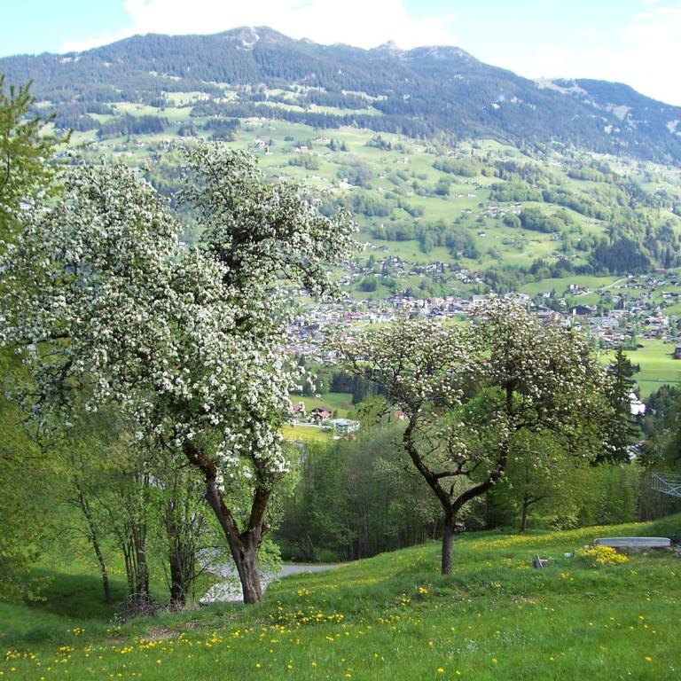 Ferienwohnung Roschitz - Apartment mit 1 Schlafzimmer - 23