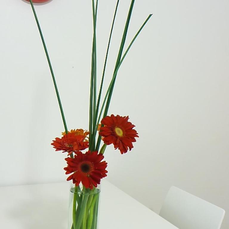 Depto calle 18 - soleado y con balcon - Apartamento - 5