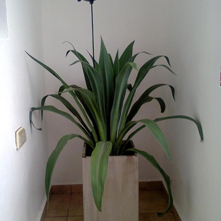 Depto calle 18 - soleado y con balcon - Apartamento - 10