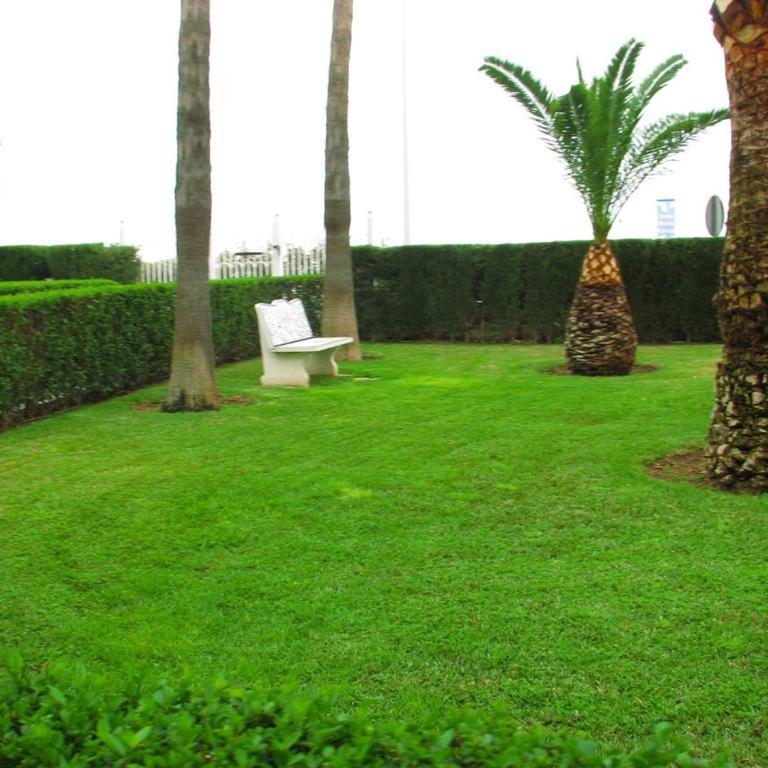 Apartment Martinez Casablanca - Apartamento - Planta baja - 40