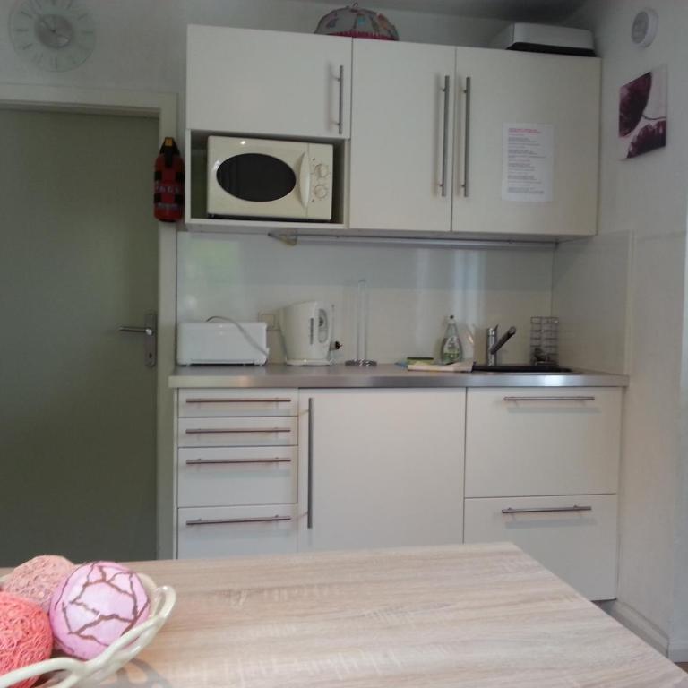 Schafberg Apartment - Apartamento de 1 dormitorio con terraza - 8