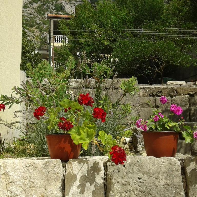 Apartment Adela - Studio Apartment - 15