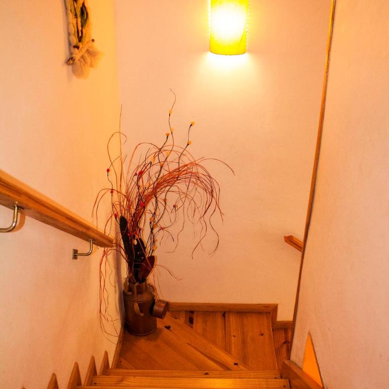 Las Vistas - Apartamento de 2 dormitorios - 11
