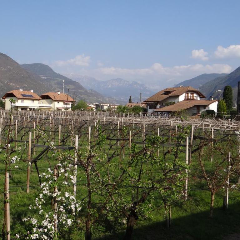 Urbanhof Prantenberger - Appartamento con 1 Camera da Letto (2 Adulti) - 13