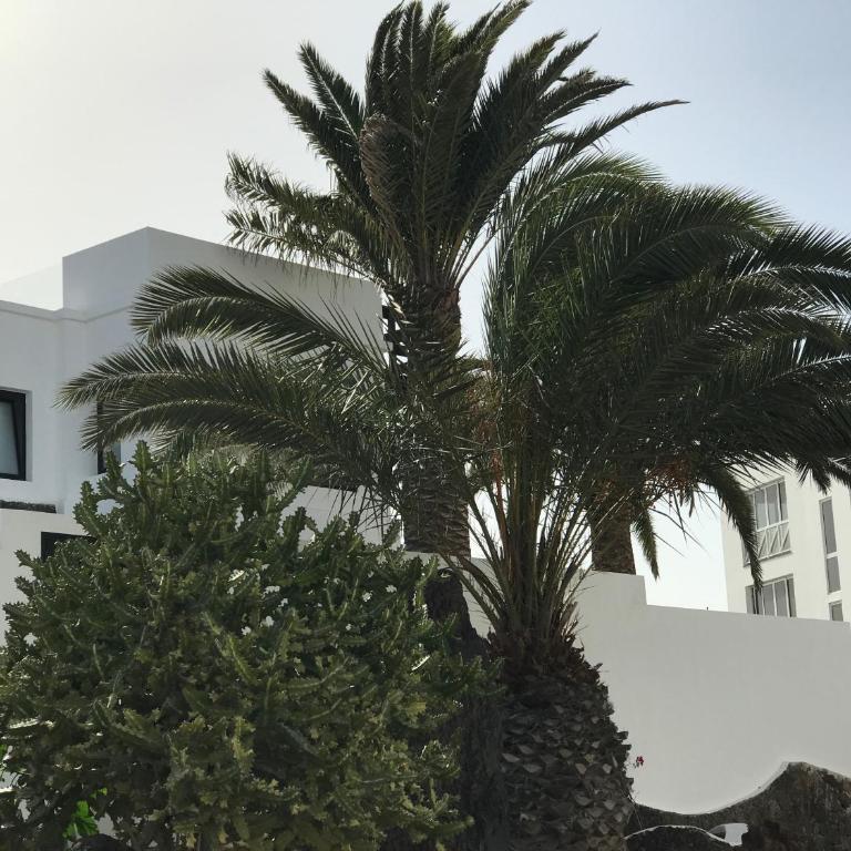 Vivienda Vacacional Casa Federico - Apartamento con vistas al mar - 8
