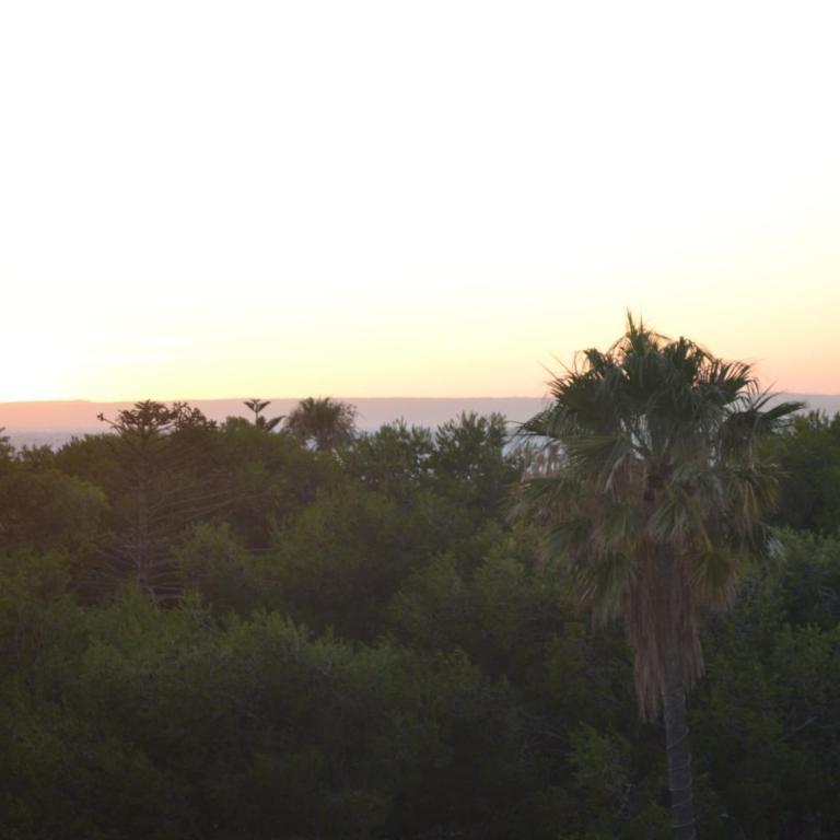 Apartamento Zahara De Los Atunes - Apartment with Sea View - 22