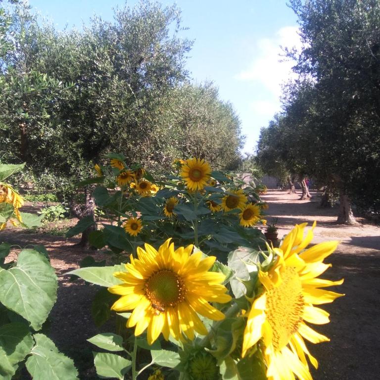 Casa Vacanza Fiorella - Camera Matrimoniale - 21
