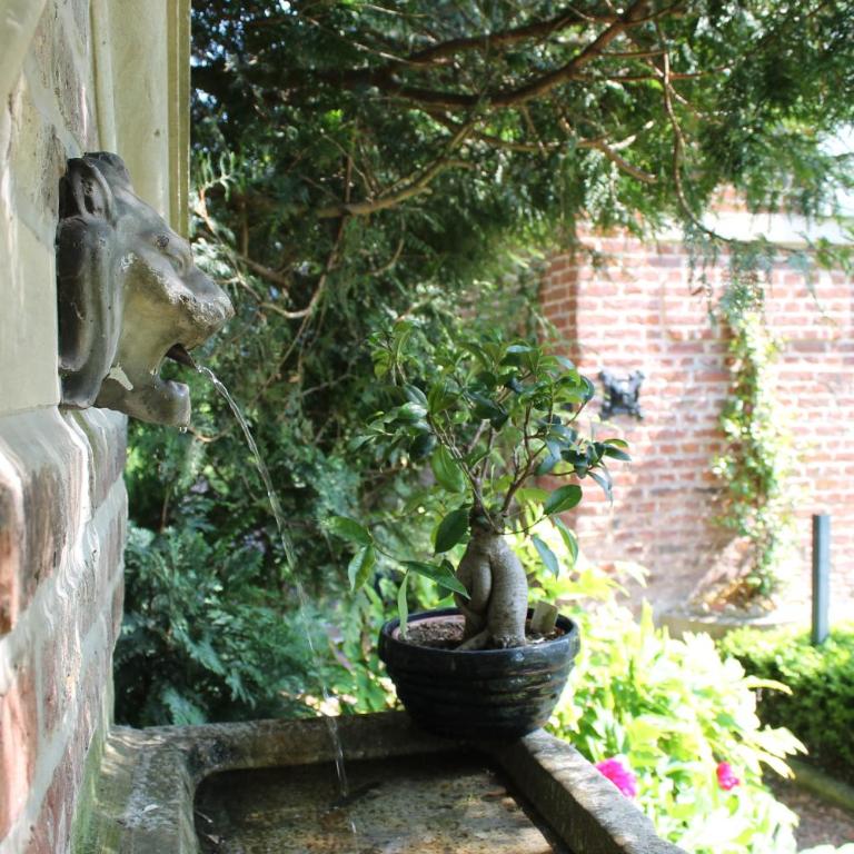 Comme une parenthèse au coeur des hortillonnages - Maison 2 Chambres - 2