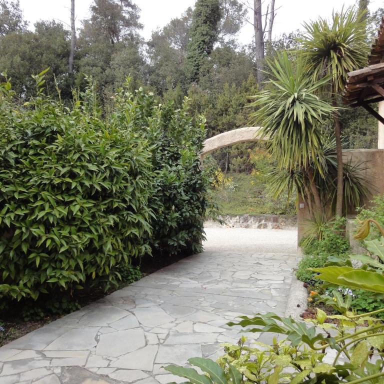 Le Mas des Gardettes - Estudio con terraza y jardín - 4