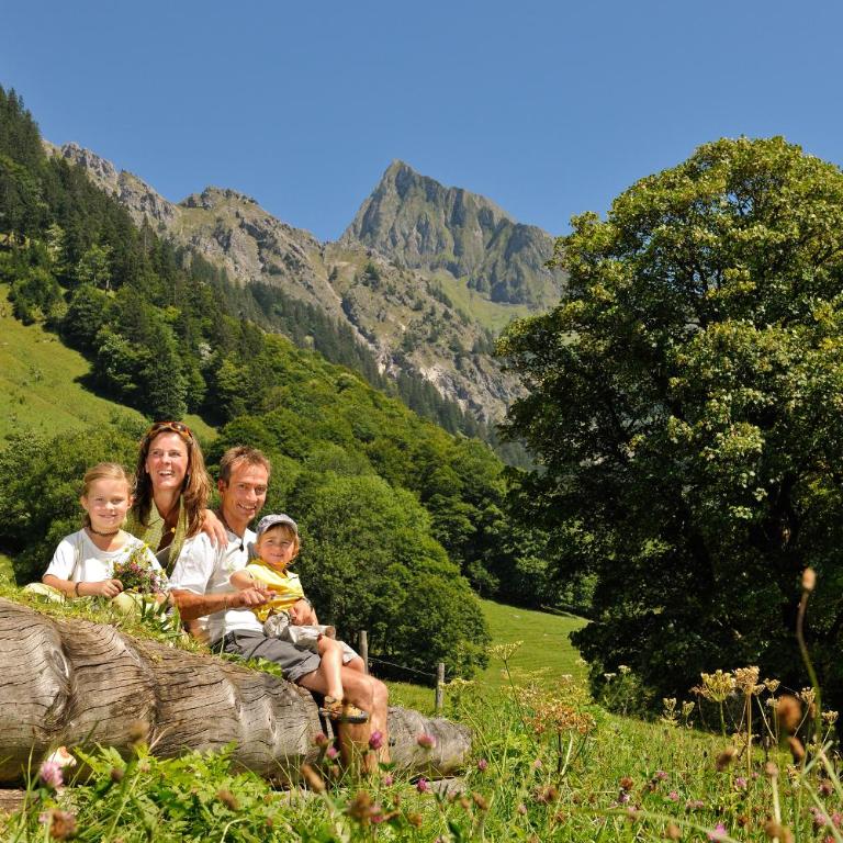 Landhaus Stillachaue - Apartment mit Blick auf die Berge - 20