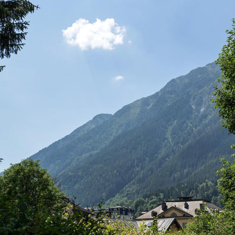 Villa Loppe - Chamonix Mountain Four-Bedroom Hidden Gem - Villa - 23