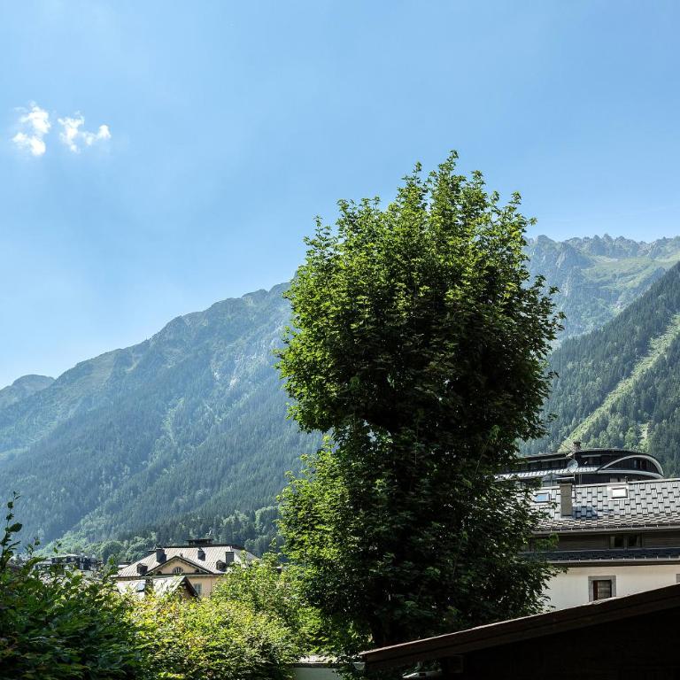 Villa Loppe - Chamonix Mountain Four-Bedroom Hidden Gem - Villa - 1