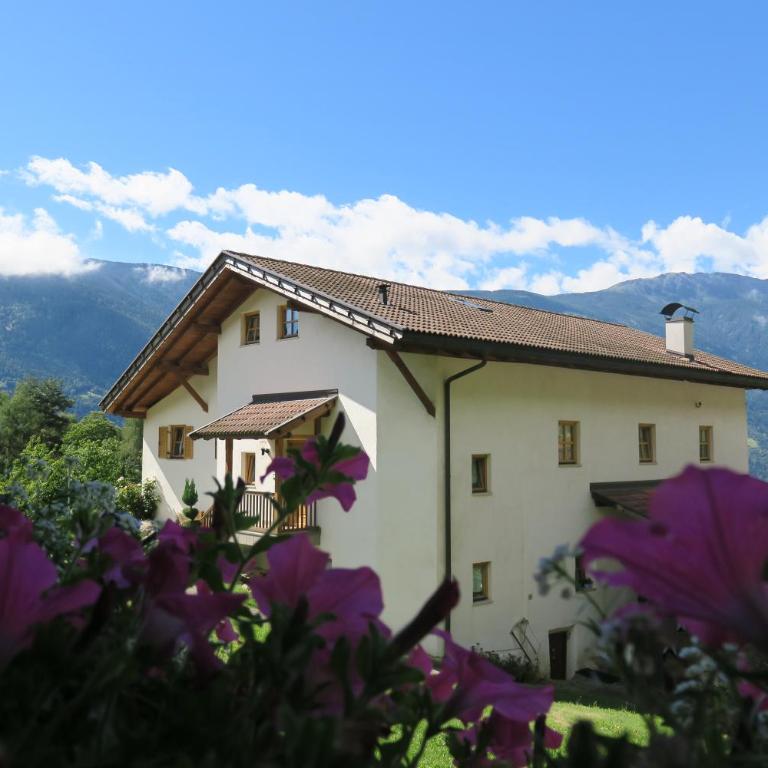 Winklerhof - Apartamento de 1 dormitorio - 1