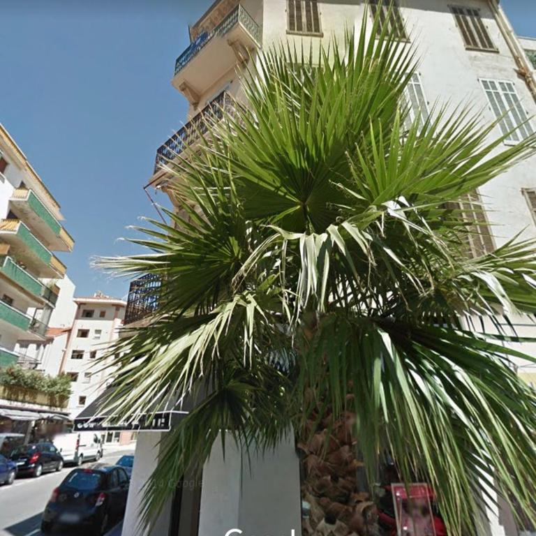 Ice coeur de Cannes - Appartement 2 Chambres Deluxe - 12