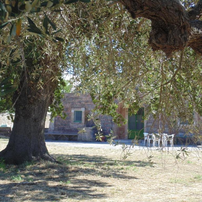 TRULLI CONTI Grande spazio alberato incontaminato- prenotazione esclusiva - Casa Vacanze - 14