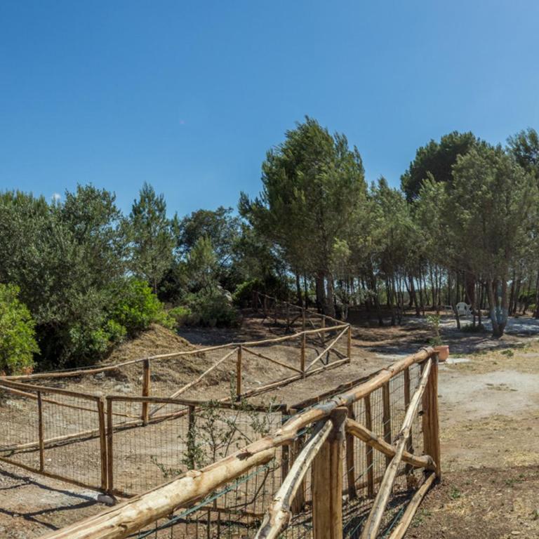 TRULLI CONTI Grande spazio alberato incontaminato- prenotazione esclusiva - Casa Vacanze - 18