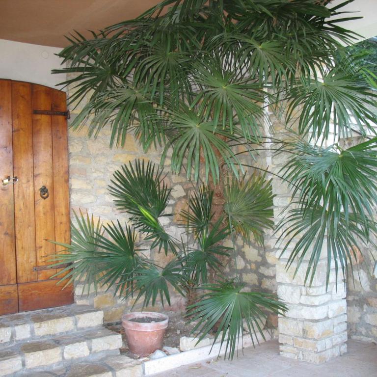 Villa Patrizia - Villa con Piscina Privata - 34