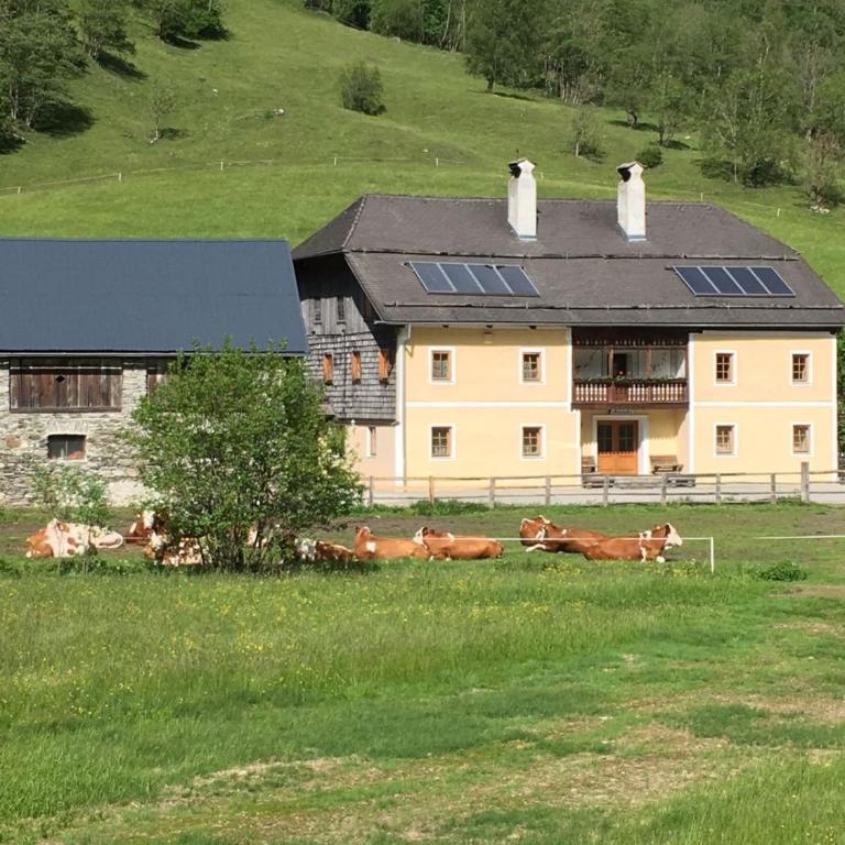 Ferienwohnung Moarhofer - Apartment mit 3 Schlafzimmern - 42