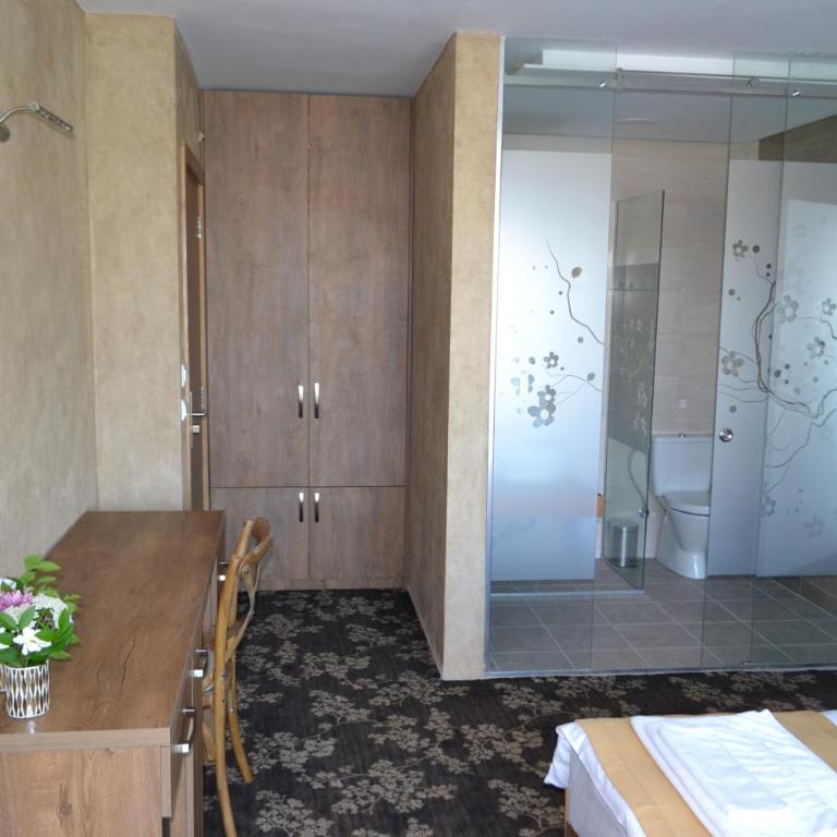 Garni Hotel Chicha - Winery ŠKRBIĆ - Deluks Dvokrevetna Soba sa Bračnim Krevetom/Zasebnim Krevetima - 13