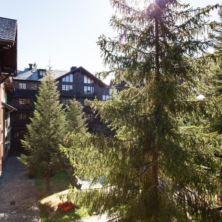 Tarter Chalets Apartaments - Two Bedroom Rustic Apartment with a Fireplace - 1