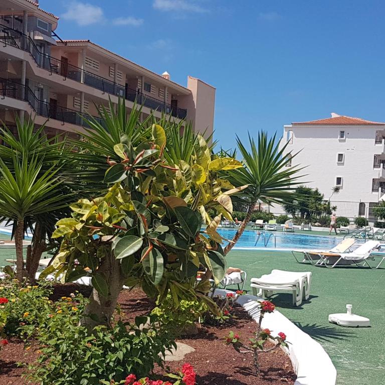 Los Cristianos to enjoy, relax and live the ocean! - Estudio Deluxe - 25