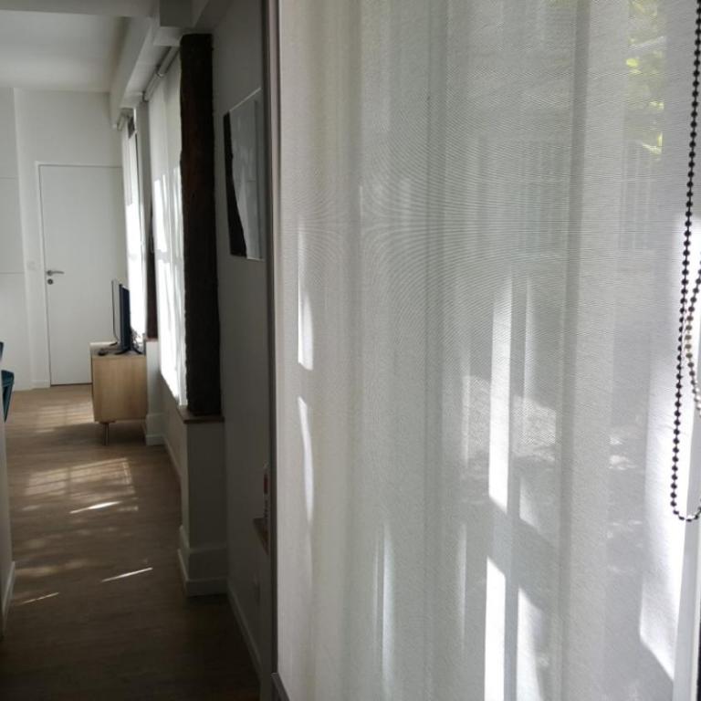 Transparent Marais - Marais Concept - 1
