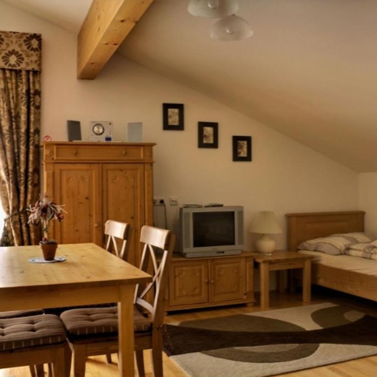 Haus Lowe - One-Bedroom Apartment with Balcony - 2