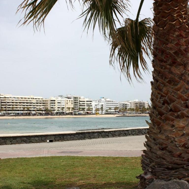 Arrecife - Apartamento - 27