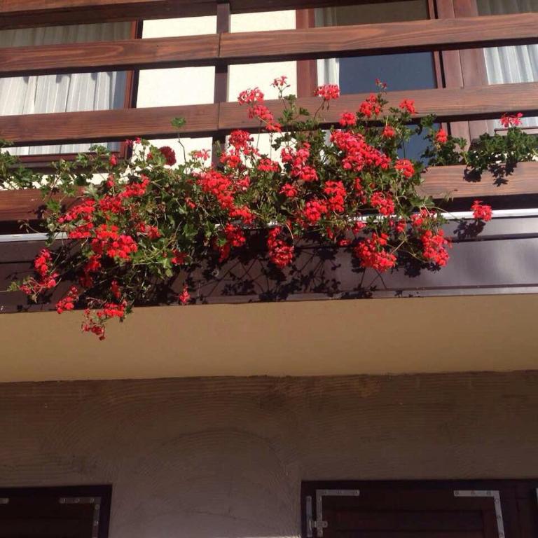 Apartments Villa Deja - Two-Bedroom Apartment - 34