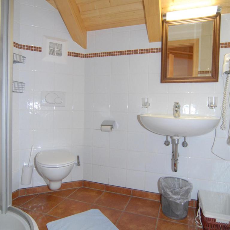 Appartementhaus Chalet Alpina - Estudio con ducha - 2