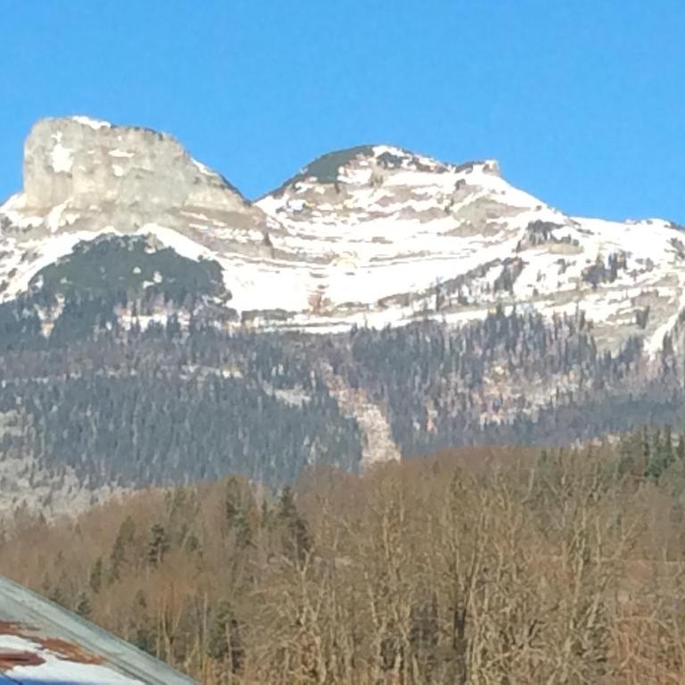 Apartment Familie Haupt - Studio mit Bergblick - 1