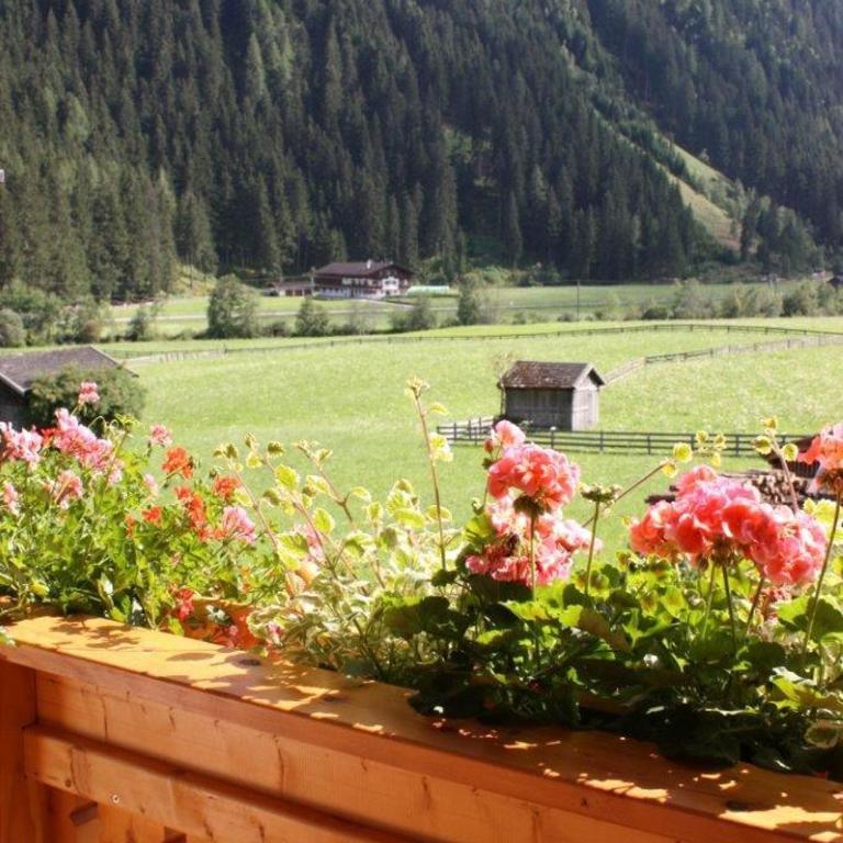 Landhaus Alpensonne - Apartment mit 2 Schlafzimmern - 49