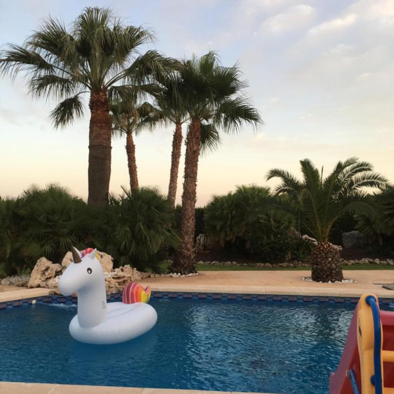 Chalet Beach and Golf Santa Pola Alicante Jupalca - Casa de 5 dormitorios - 83