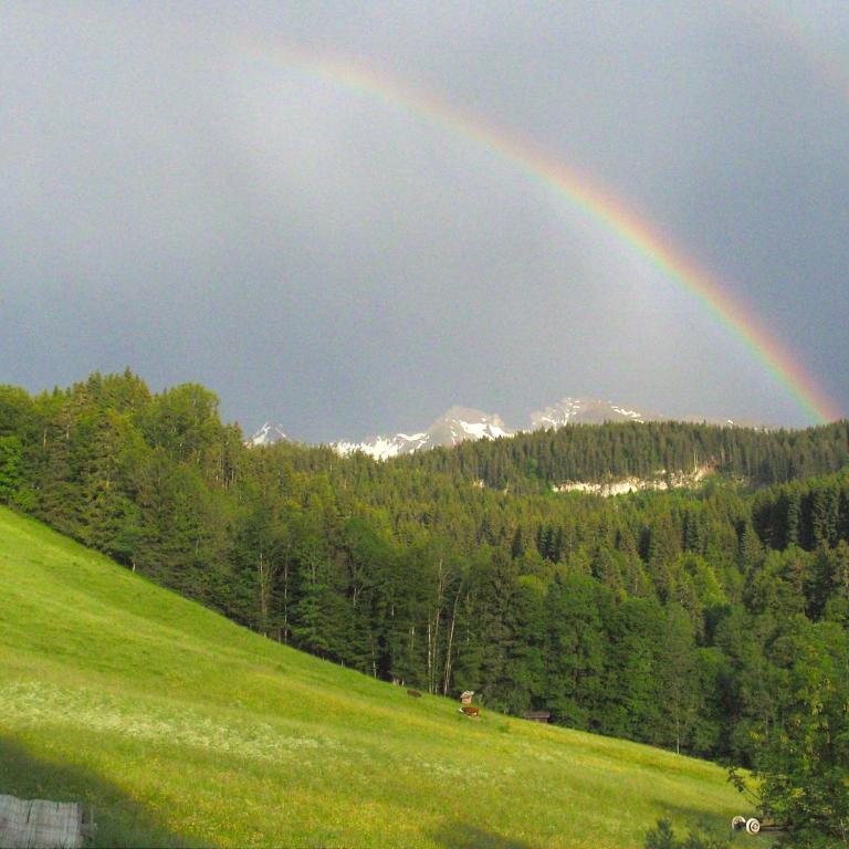 La Clusaz - Saint-Jean de sixt - Chalet mit 3 Schlafzimmern - 30