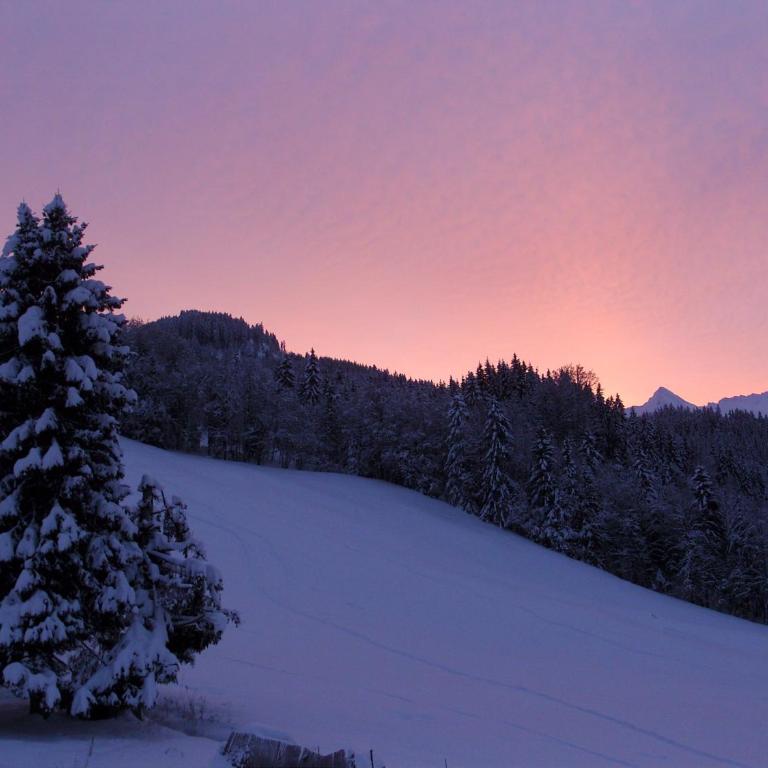 La Clusaz - Saint-Jean de sixt - Chalet mit 3 Schlafzimmern - 33