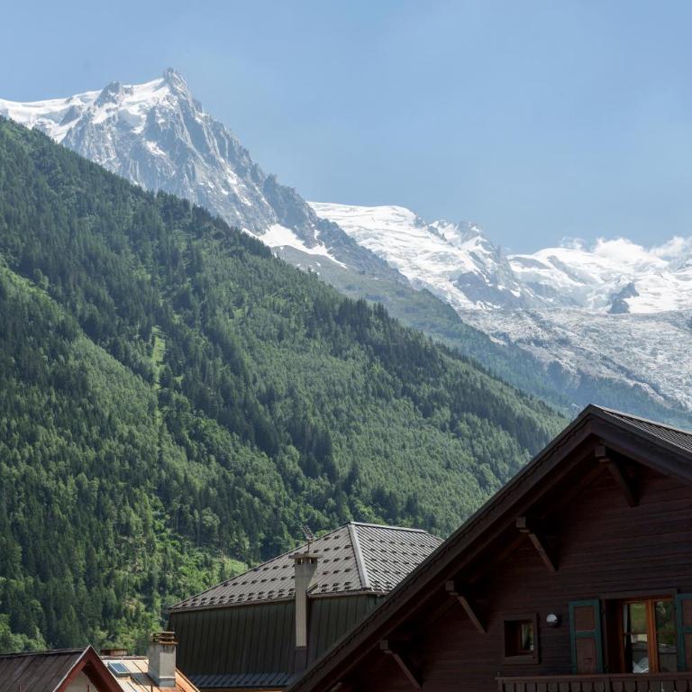 Apartment Blanc Neige 2 - Centre de Chamonix - Studio (3 Adultes) - 9