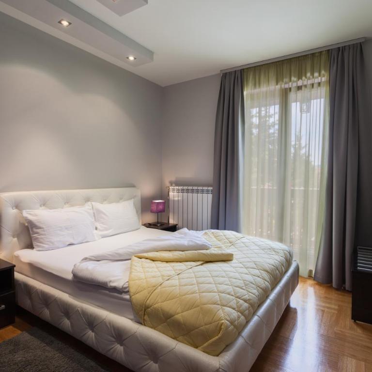 Vila Barović and Spa - Apartman sa 1 Spavaćom Sobom - 4