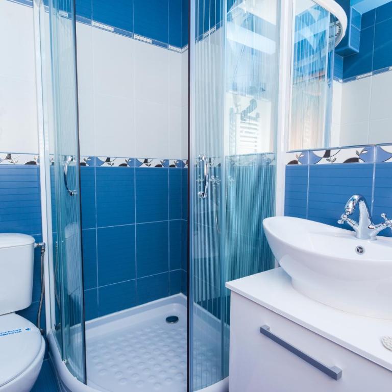 Vila Barović and Spa - Apartman sa 1 Spavaćom Sobom - 10
