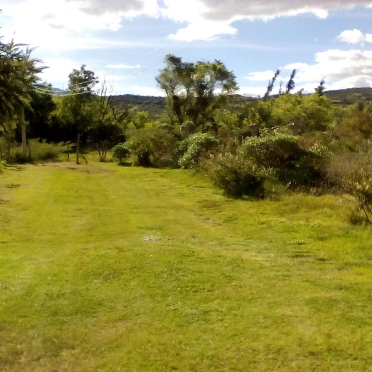 Hospedaje y Zona de Camping Pistacho - Double Room - 6
